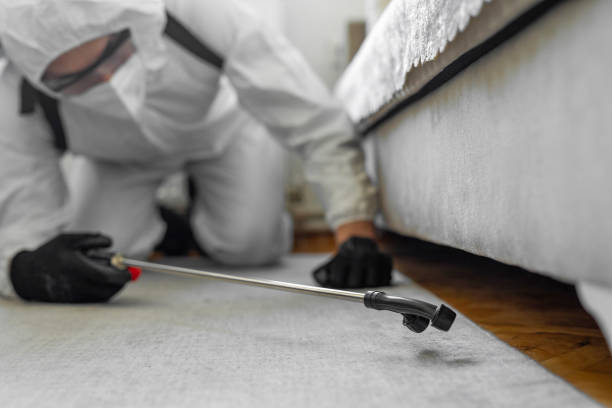 Professional Termite Control technician working in Dunnigan, CA